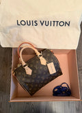 Louis Vuitton Speedy 25 AUTHENTIC